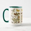Search for caterpillar mugs Illustration