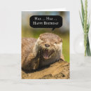 Search for funny otter birthday cards Humour