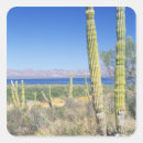 Search for baja mexico stickers Scenic