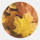 Search for golden leaves stickers Fall