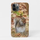 Search for squirrels cases Animal lover