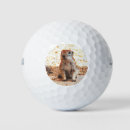 Search for squirrel golf balls Wildlife