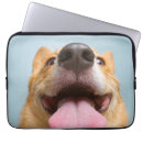 Search for getty cases Funny