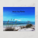 Search for siesta key postcards Water