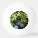 Search for christmas tree ping pong balls Nature