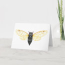 Search for brooding cards Cicada