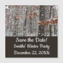 Search for oak tree Winter