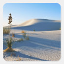 Search for yucca stickers Alamogordo