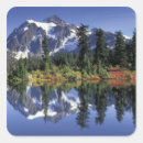 Search for mirror image stickers Environment