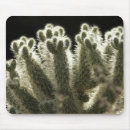 Search for arid climate mousepads Nature