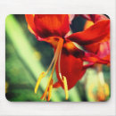 Search for stamens electronics Floral