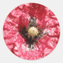 Search for papaver stickers Poppies