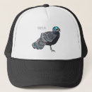 Search for peacocks hats Bird