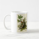 Search for american robin mugs Turdus migratorius