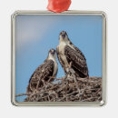 Search for birds nest christmas tree decorations Animal