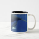 Search for vertebrate mugs Animal