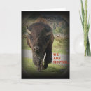 Search for bison invitations Nature