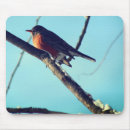 Search for robins mousepads Winter