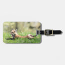 Search for fox luggage tags Animal