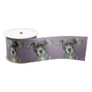 Search for dog ribbon Cute