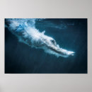 Search for swimming pool art Diver