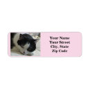 Search for white cat return address labels Cute