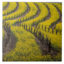 Search for grapevine tiles Pattern