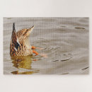 Search for duck puzzles Bird