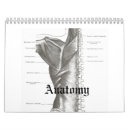 Search for skull office supplies Anatomy