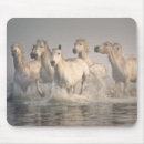 Search for maries mousepads Ranch