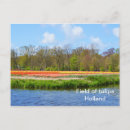 Search for field postcards Flowers