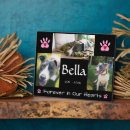 Search for parent pet supplies In loving memory