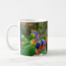 Search for rainbow parrot mugs Exotic