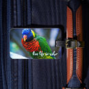 Search for feathered birds accessories Nature