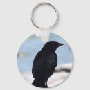Search for beak accessories Black