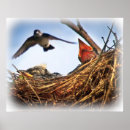 Search for nesting posters Cute
