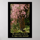 Search for spring cherry blossom art Flower