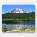 Search for cascade electronics Lake