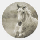 Search for dressage horse stickers Western
