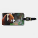 Search for china travel accessories Animal
