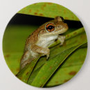 Search for tree frog badges Leaf