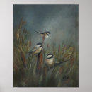 Search for chickadee posters Nature