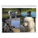 Search for black white animal calendars Cute