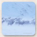 Search for low temperature Horizontal