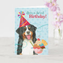 Search for berners cards Bernese mountain dog