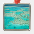 Search for queensland christmas tree decorations Tropical