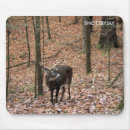 Search for whitetail mousepads Buck