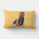 Search for beagle cushions Baby animals