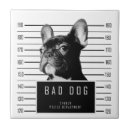 Search for french bulldog tiles Pet