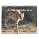 Search for cheetah calendars Wild cat